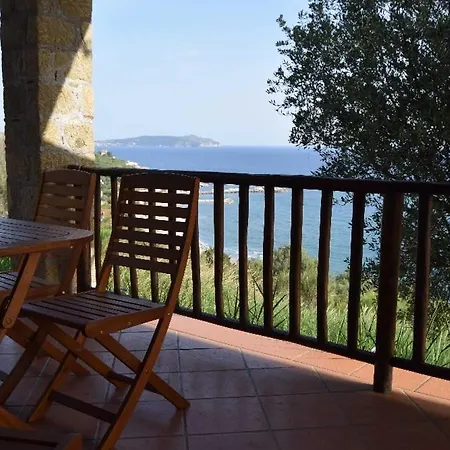 Ukiyo * Pisciotta